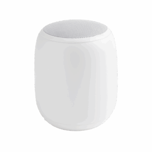 Loudspeaker Enclosure